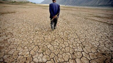 پاییز ۱۴۰۴ خشکتر از همیشه /۲۰ استان بدون بارش و بحران آب در کمین