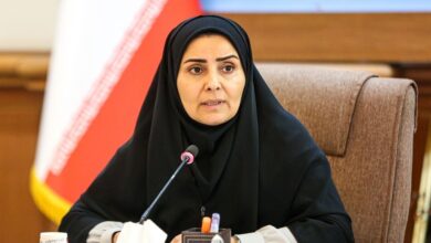 بهرهبرداری از ۸ بیمارستان تا پایان سال / تمامی فرودگاههای کشور به پنل خورشیدی مجهز میشوند