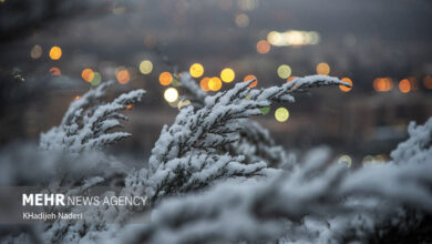 اطلاعیه هواشناسی صادر شد/ جزییات
