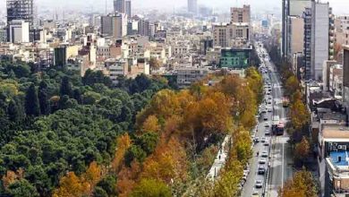 لیست قیمت خرید مسکن در قلهک / قیمت یک آپارتمان ۱۰۰ متری در این منطقه چقدر است؟ + جدول اسفند ماه ۱۴۰۴
